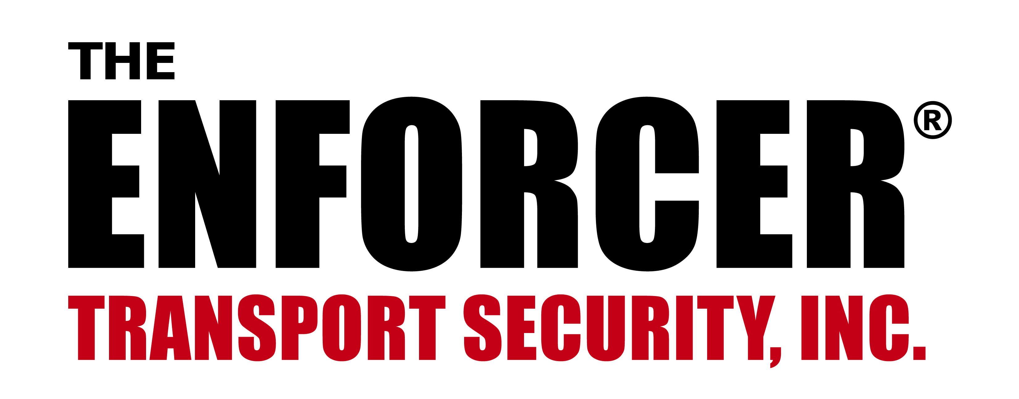 Transport Security, Inc. logo